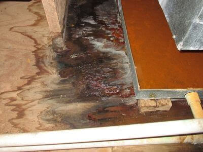 About Water Damage Restoration Laveen - water damage restoration experts in Laveen